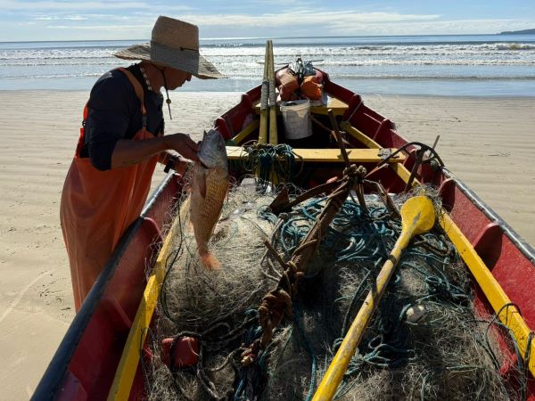 Abertura da pesca da tainha acontece amanhã (1º de maio) em Itapema