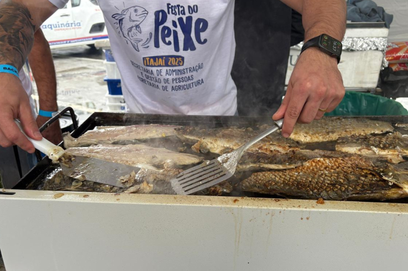 Festa do peixe 2026 terá cursos gratuitos de gastronomia